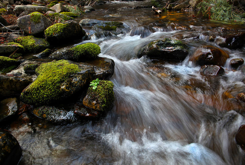 FAST WATER - Sanders County Ledger